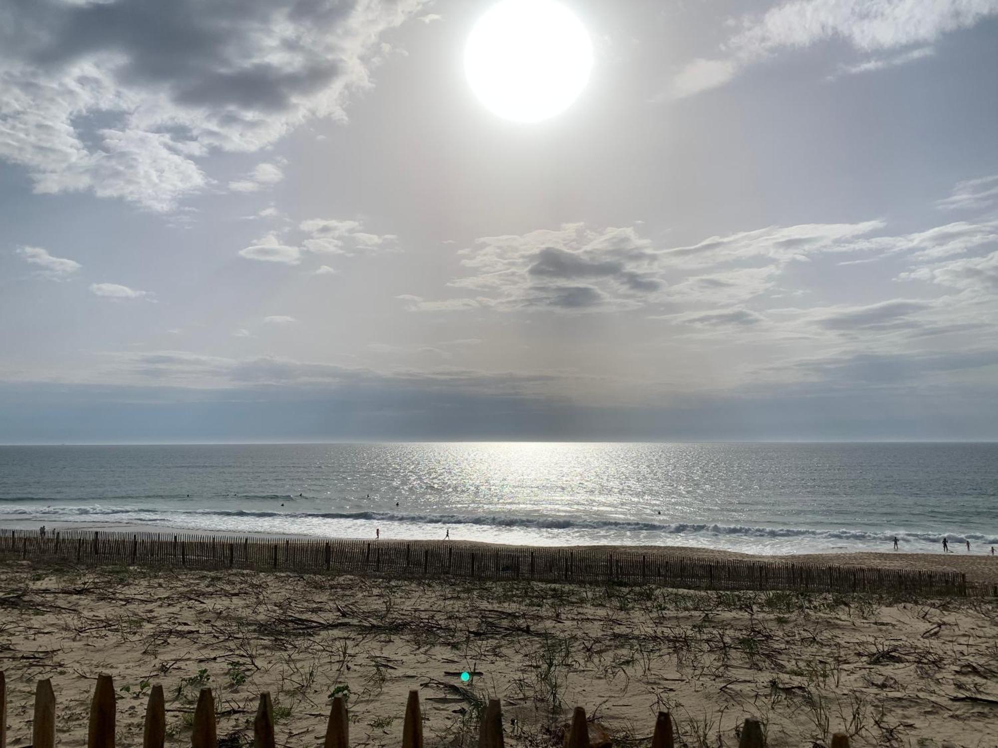 Appartement Rez-De-Chaussee Entre Dunes Et Ocean Lacanau Exteriör bild